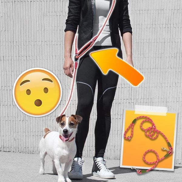 BowLift | Hands Free Dog Leashes
