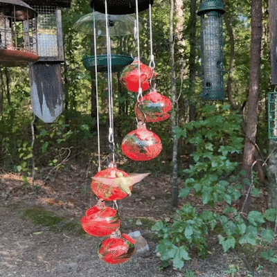 BowLift | CharmesHummingbird | Awaken your garden to magic