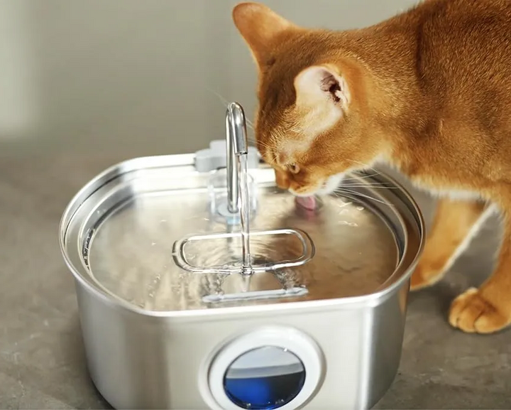 BowLift | Ultra-Quiet Stainless Steel Pet Water Fountain with Triple Filtration System - 108.2oz Capacity for Cats and Dogs