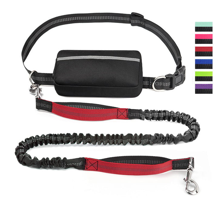 BowLift | PawsFree Pro – Enjoy stress-free walks with your dog