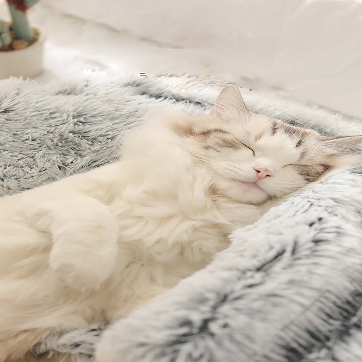 BowLift | SnuggleNest — Security and warmth that lets your pet sleep relaxed.