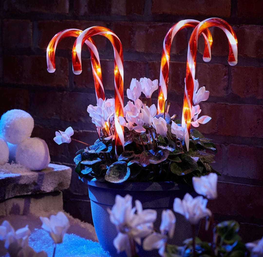 BowLift | 4pc Candy Cane LED Pathway Lights