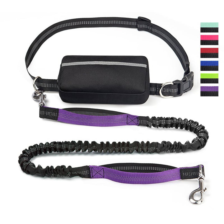 BowLift | PawsFree Pro – Enjoy stress-free walks with your dog