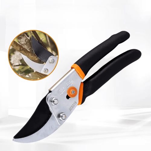BowLift | Cutivor Pro Garden Shears | Stainless Steel Blade | Ergonomic & Non-Slip | Precision for Fruit Trees & Shrubs