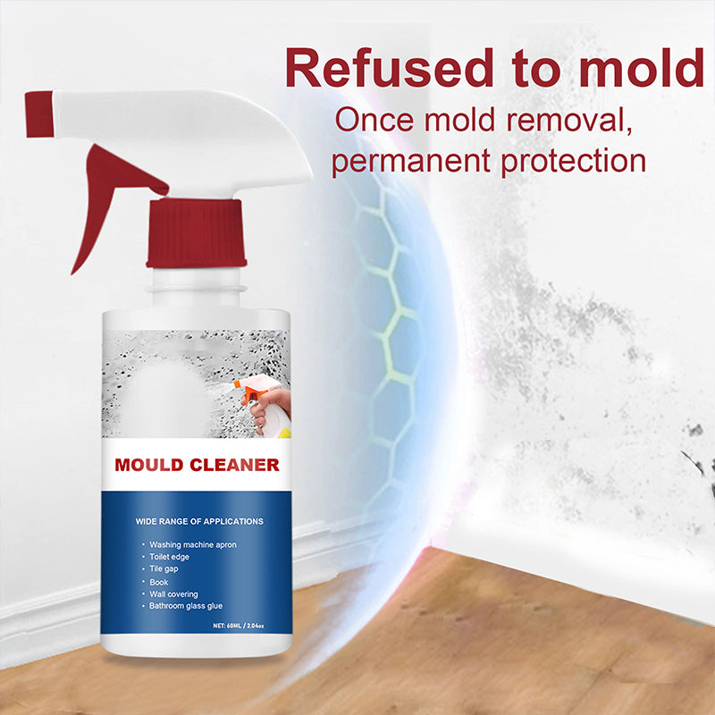BowLift | Mold Cleaner Foam