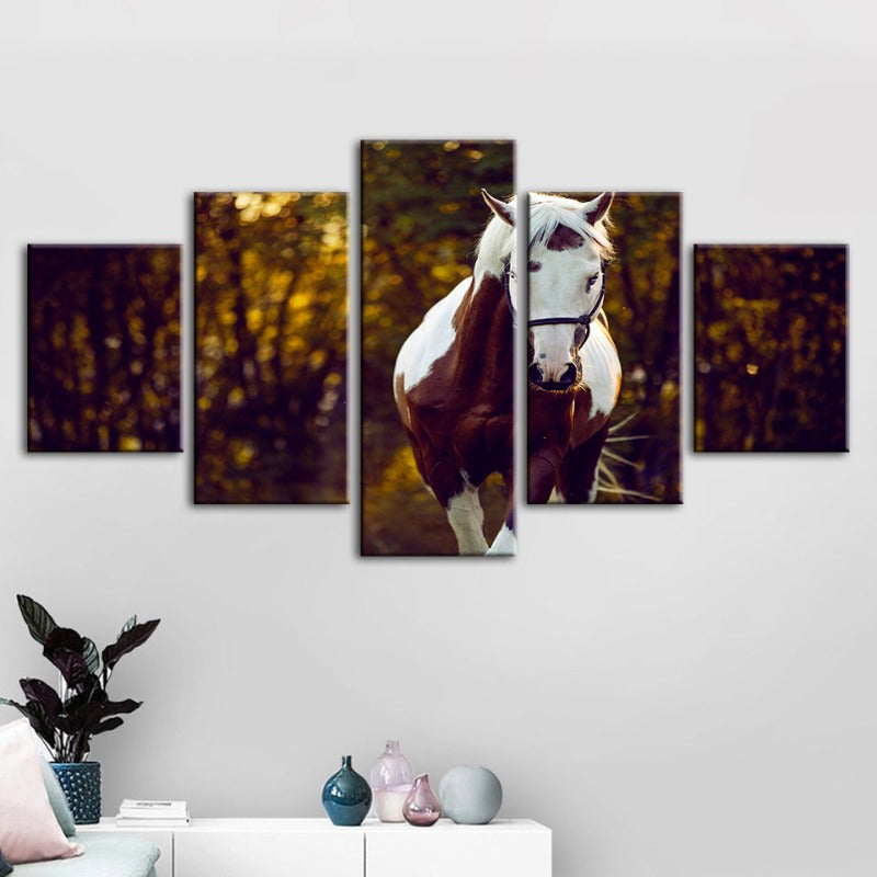 5 Piece Courtly Overo Horse - Canvas Wall Art Painting | Bowlift