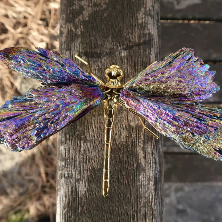 AURA TOURMALINE KYANITE DRAGONFLY | Bowlift