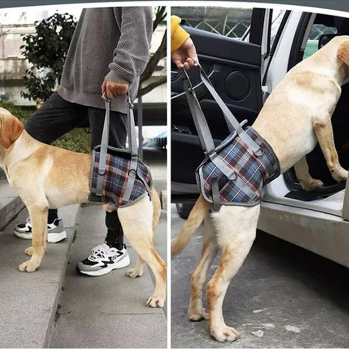 BowLift | Orthopedic Strap for Hind Legs