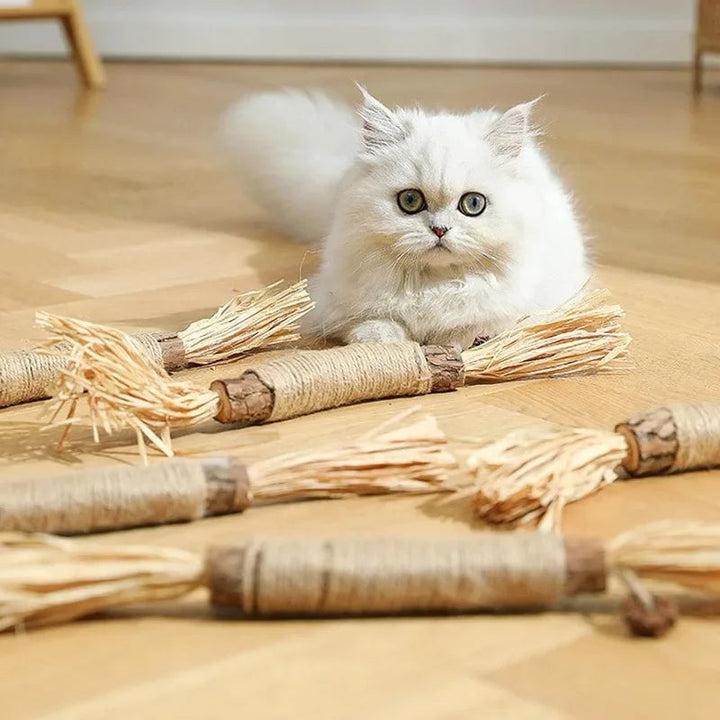 Cat Dental Cleaning Sticks Bowlift