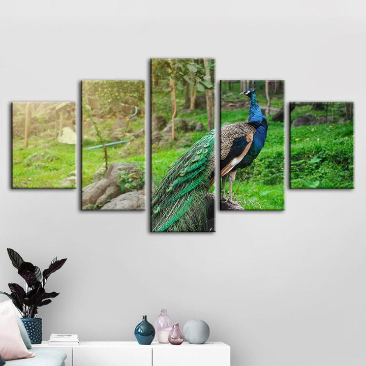 5 Piece Dignified Sunlit Peacock - Canvas Wall Art Painting | Bowlift