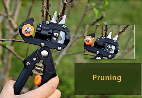 BowLift | Refinement scissors for garden – Precise cutting tools for grafting and refining plants