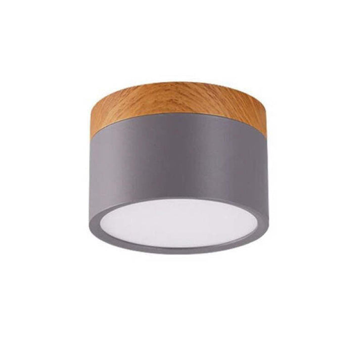 Morandi Style Modern LED Ceiling Lamp - LumiModo | Bowlift