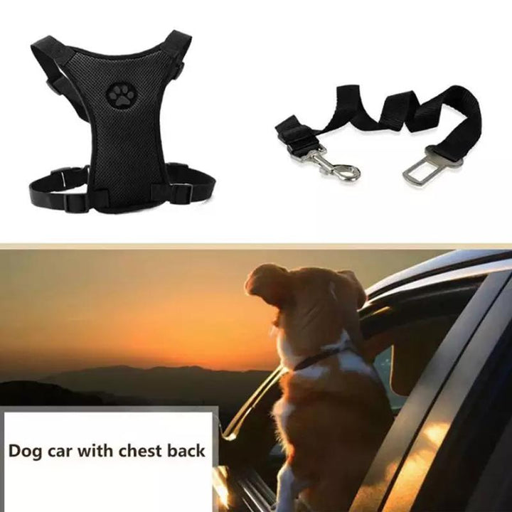 BowLift | Dog Safety Harness Set