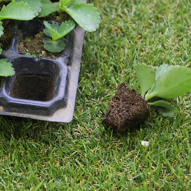 BowLift | Rectangular Plant Bowl – Seedling Tray for Efficient Germination and Growth of Seedlings
