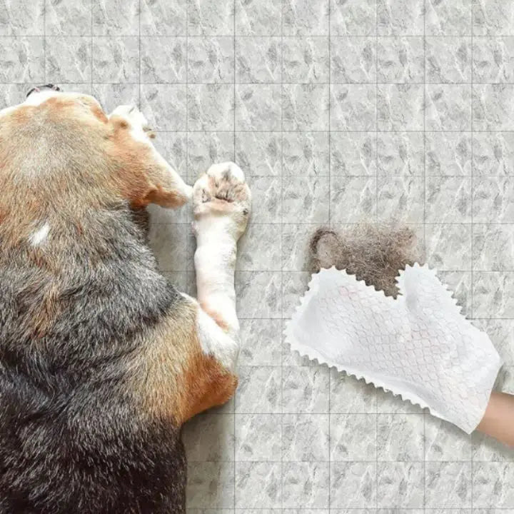 BowLift | 5+5 | Versatile household gloves