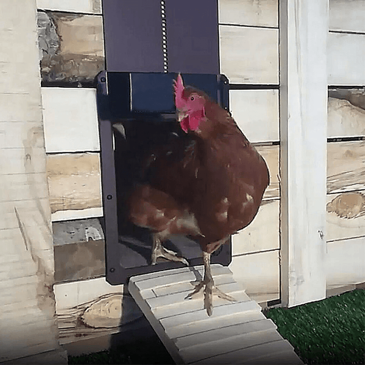 BowLift | Automatic Chicken Coop Door
