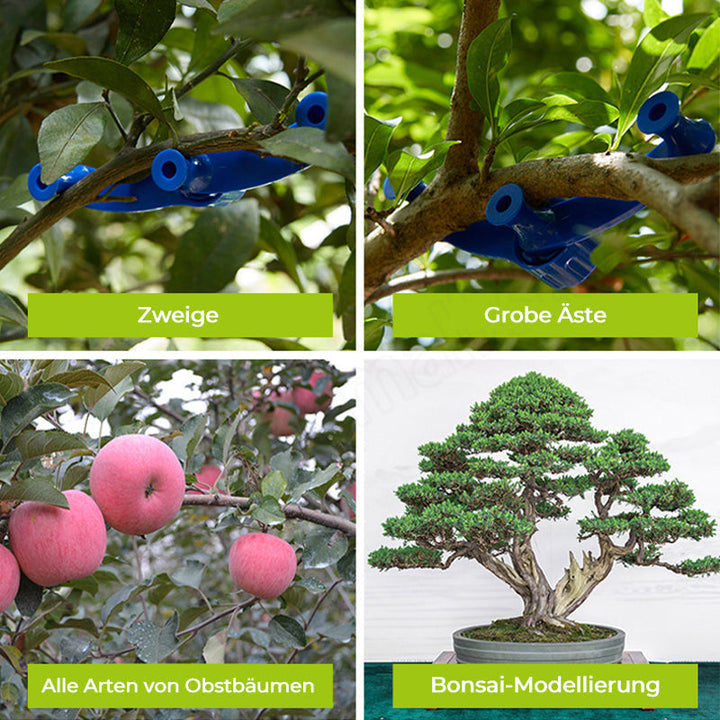 BowLift | Fixative for branch modeling