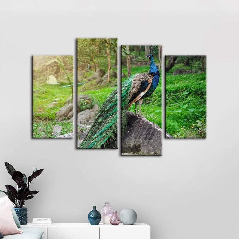 4 Piece Dignified Sunlit Peacock - Canvas Wall Art Painting | Bowlift