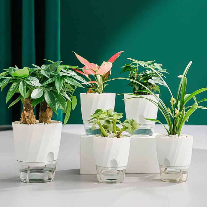 BowLift | Self Watering Planter
