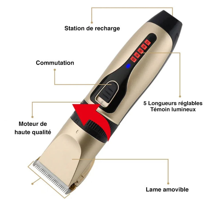 BowLift | Professional pet grooming kit