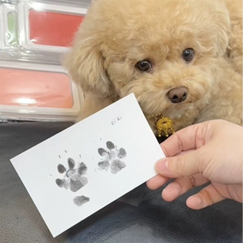 BowLift | DIY Pet Paw Print Memory Frame