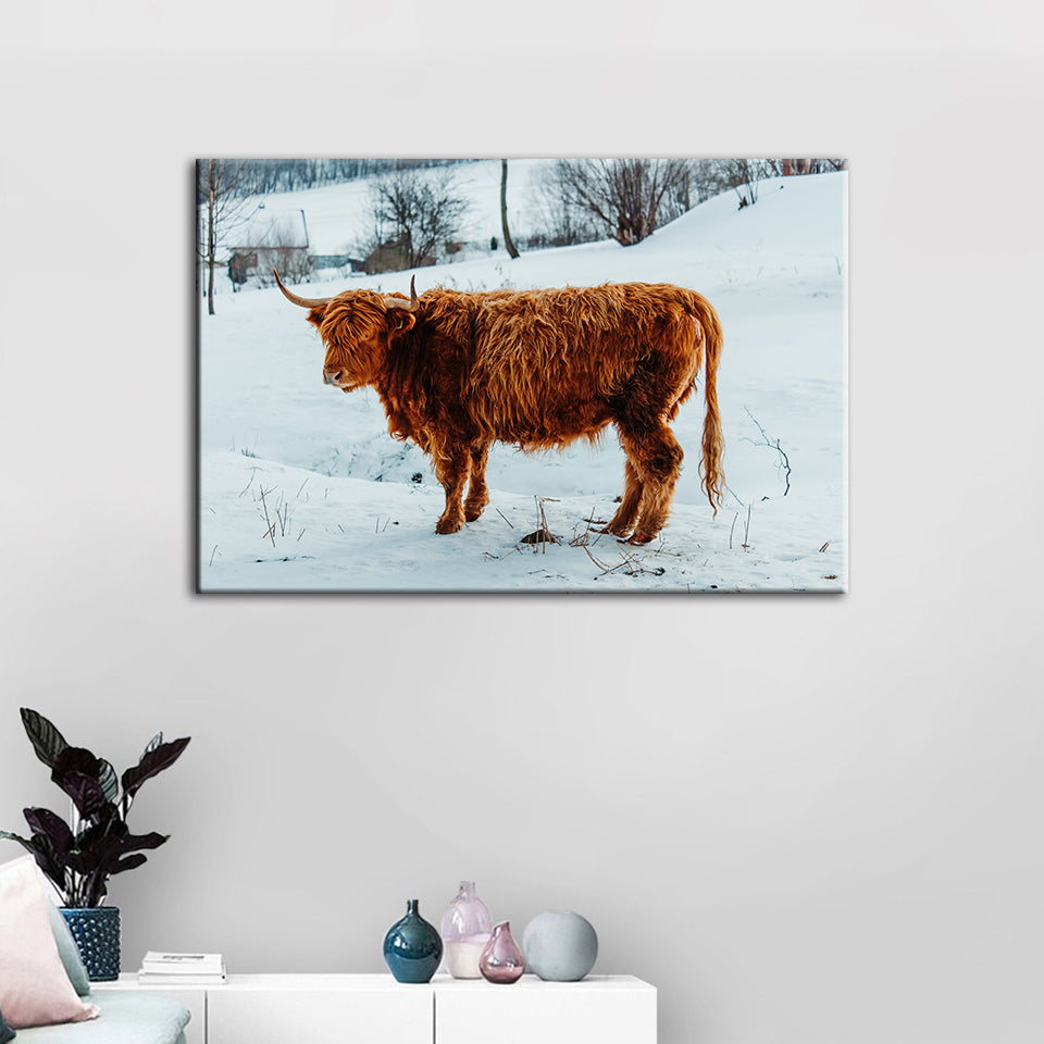 Curly Haired Cow - Canvas Wall Art Painting | Bowlift