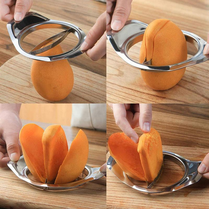 BowLift | Stainless Steel Mango Peeling Separator