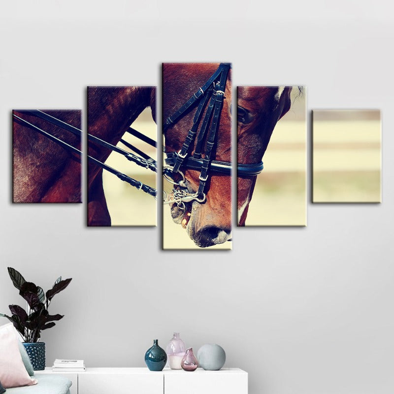 5 Piece Graceful Haltered Horse - Canvas Wall Art Painting | Bowlift