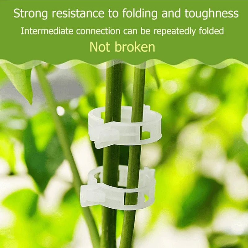 50/100/150pcs Plant Support Clips, Vine Vegetable Fastening Clips | Bowlift
