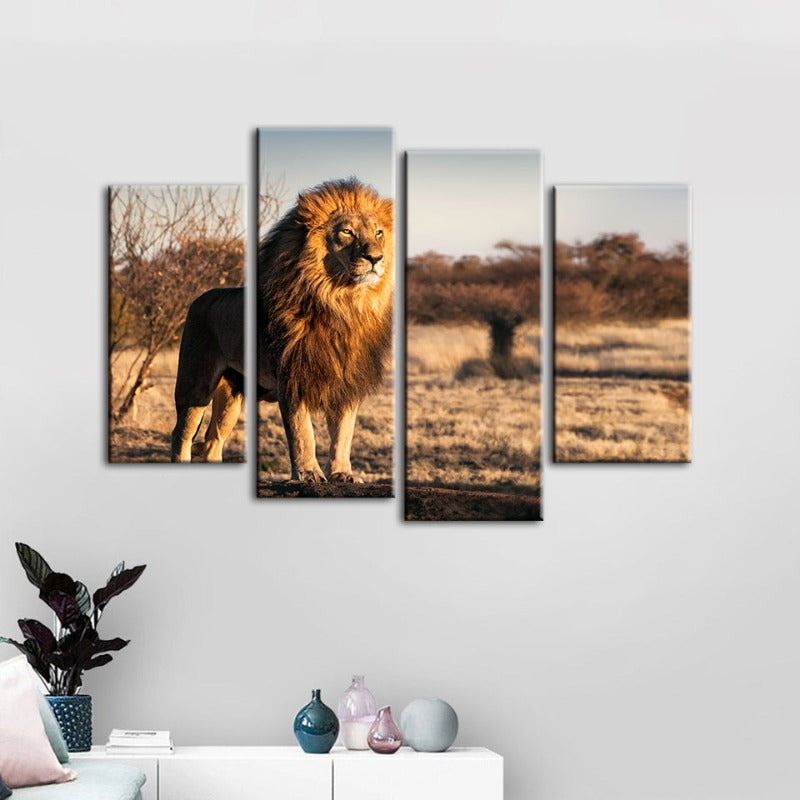 4 Piece Majestic Lion Bathed in Sunlight - Canvas Wall Art Painting | Bowlift