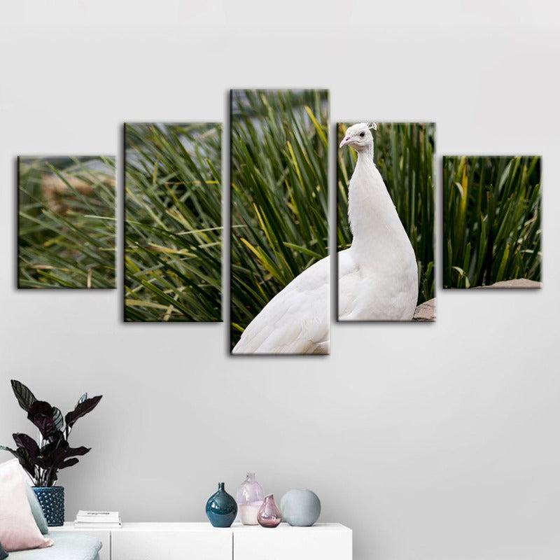 5 Piece Regal Albino Peacock - Canvas Wall Art Painting | Bowlift