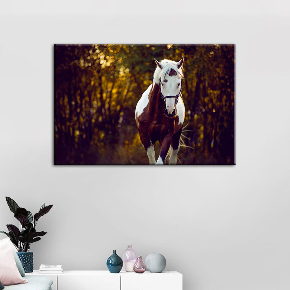 Courtly Overo Horse - Canvas Wall Art Painting | Bowlift