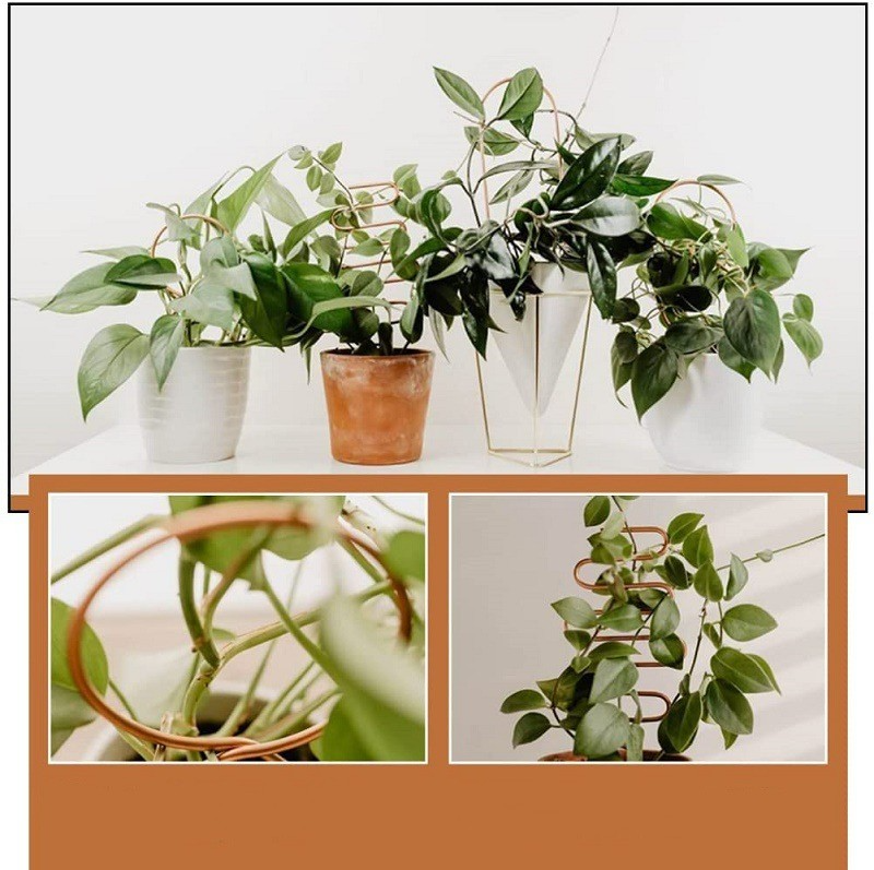 BowLift | Metal plant support for climbing plants in various shapes