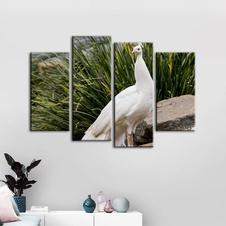 4 Piece Regal Albino Peacock - Canvas Wall Art Painting | Bowlift
