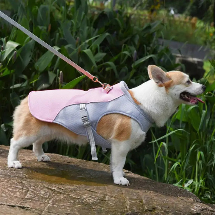 Dog Cooling Vest for Outdoor Activities | Bowlift