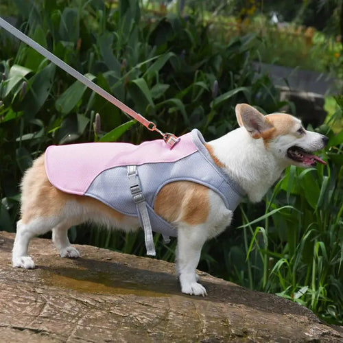 Dog Cooling Vest for Outdoor Activities | Bowlift
