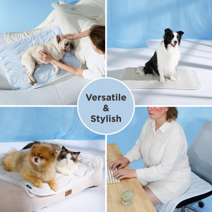 Extra Large Cooling Dog Mat Pad | Bowlift