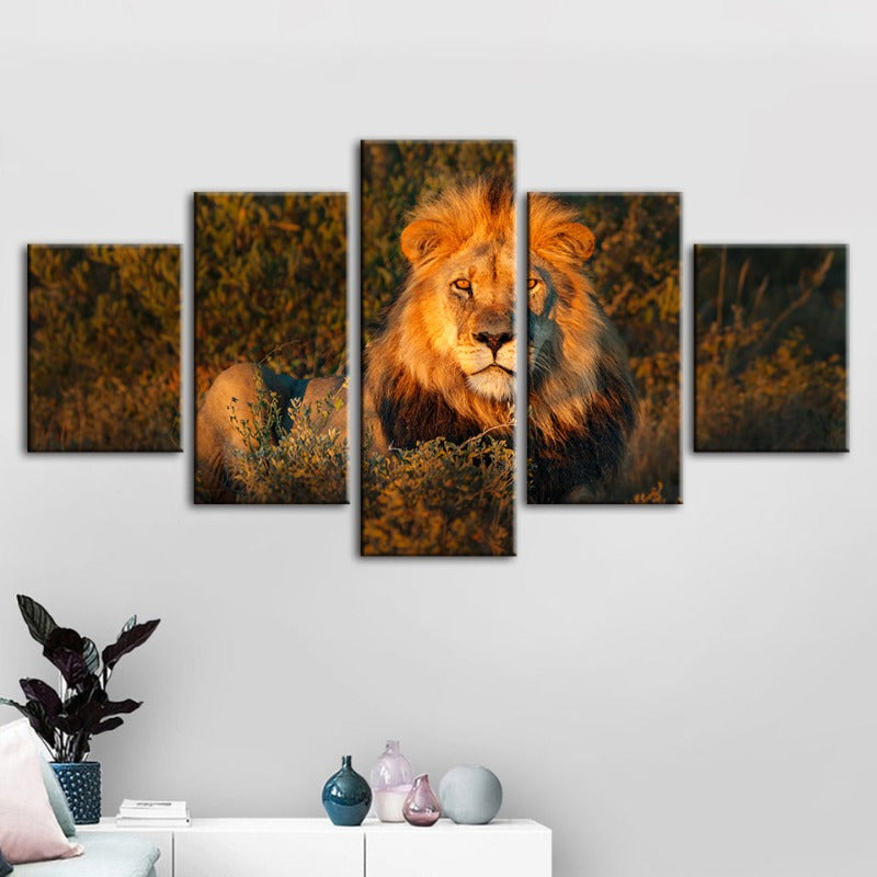 5 Piece Divine Sunset Lion - Canvas Wall Art Painting | Bowlift