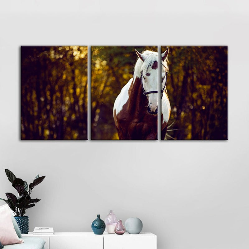 Courtly Overo Horse-Canvas Wall Art Painting 3 Pieces | Bowlift