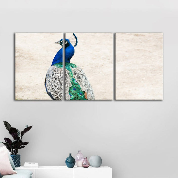 Skirted Elegant Peacock-Canvas Wall Art Painting 3 Pieces | Bowlift