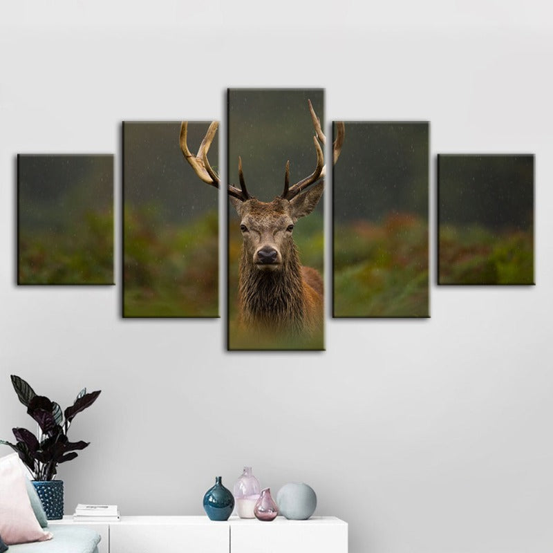5 Piece Curios Deer Amongst Ferns - Canvas Wall Art Painting | Bowlift