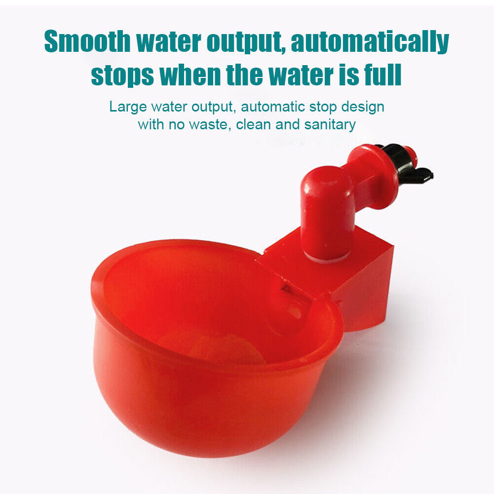 BowLift | Automatic Poultry Drinker