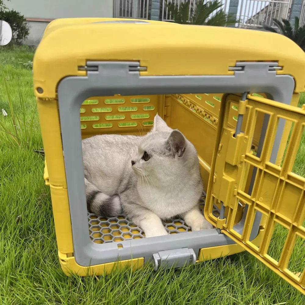Foldable Pet Transport Box Bowlift