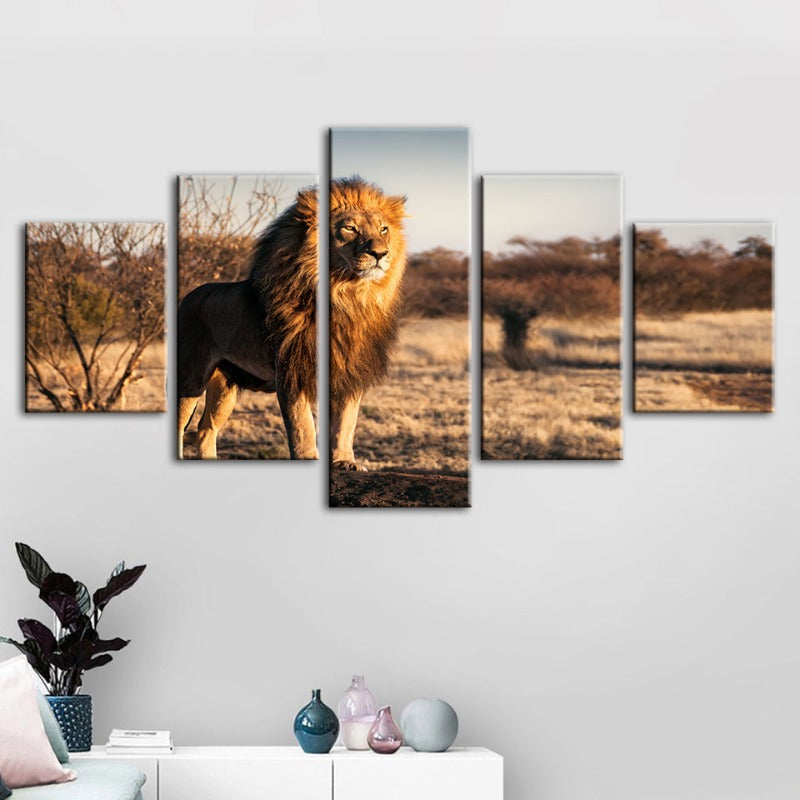 5 Piece Majestic Lion Bathed In Sunlight - Canvas Wall Art Paintings | Bowlift