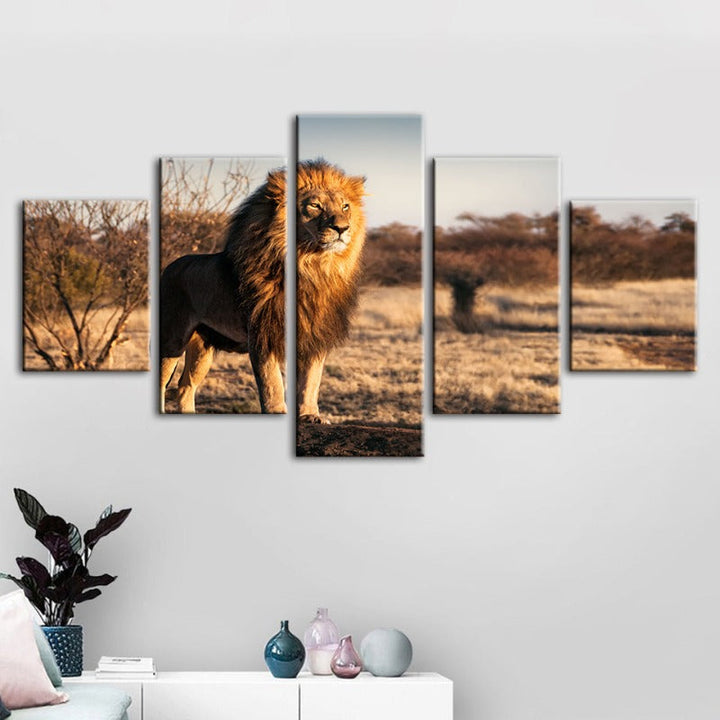5 Piece Majestic Lion Bathed In Sunlight - Canvas Wall Art Paintings | Bowlift