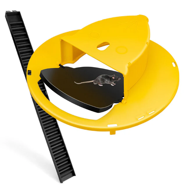 Reusable live trap for mice & rats | Bowlift
