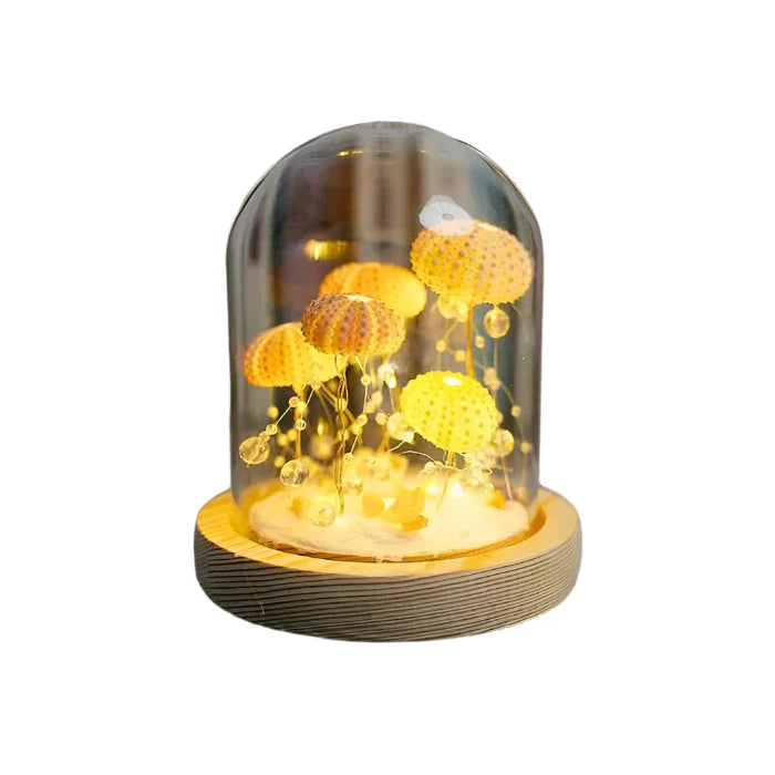 CoastalGlow DIY Hedgehog Night Light Bowlift