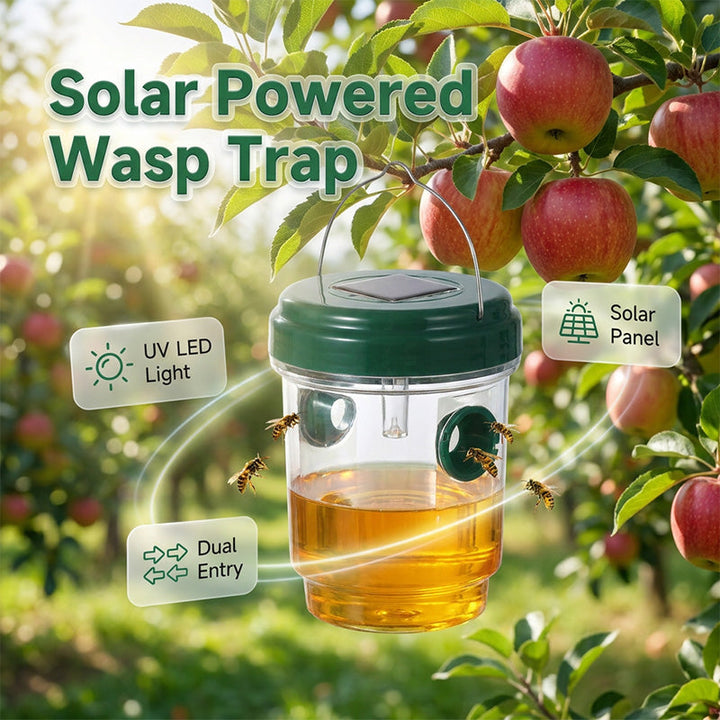 Solar powered wasp trap with LED lure | Bowlift