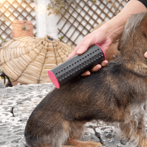 BowLift | 3 in 1 Deshedding Undercoat & Fur Brush