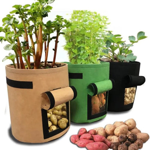 GrowMaster Pro — More power for your plants, so your harvest will amaze everyone! | Bowlift